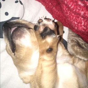 Meet your Posher, Esmeralda